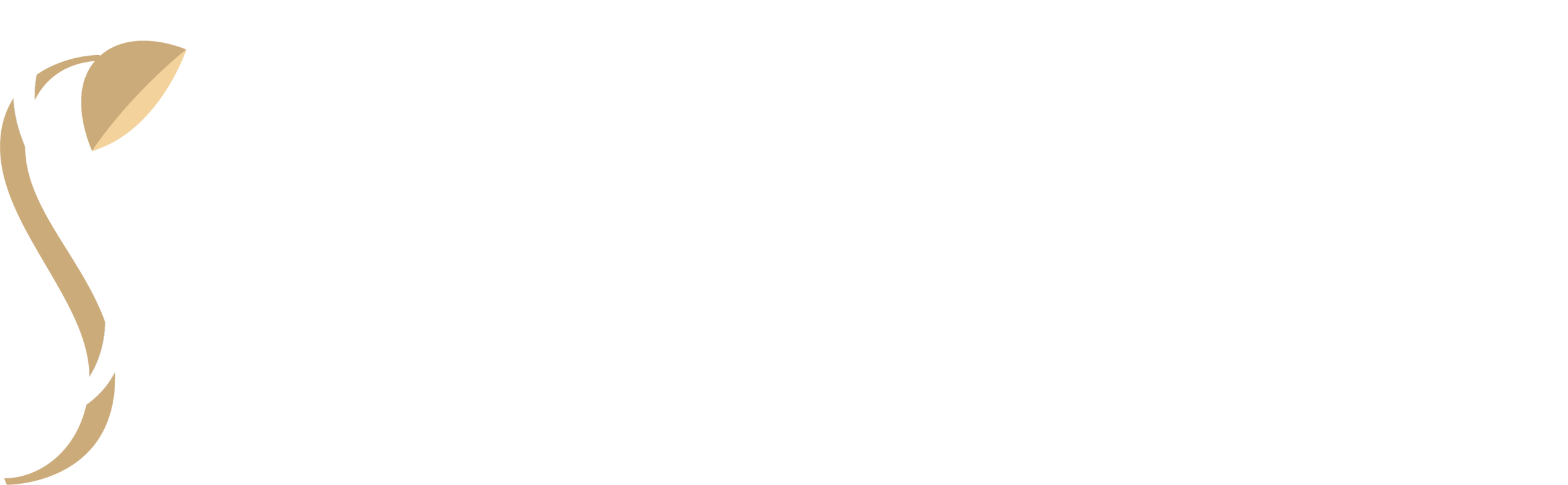 logo light