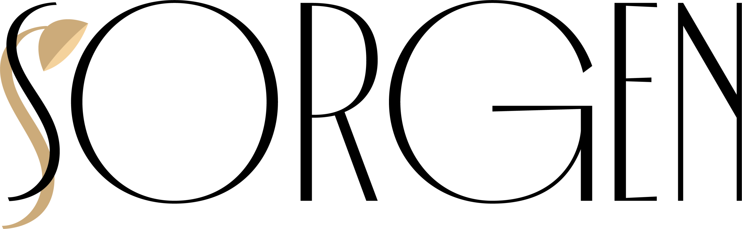 logo main